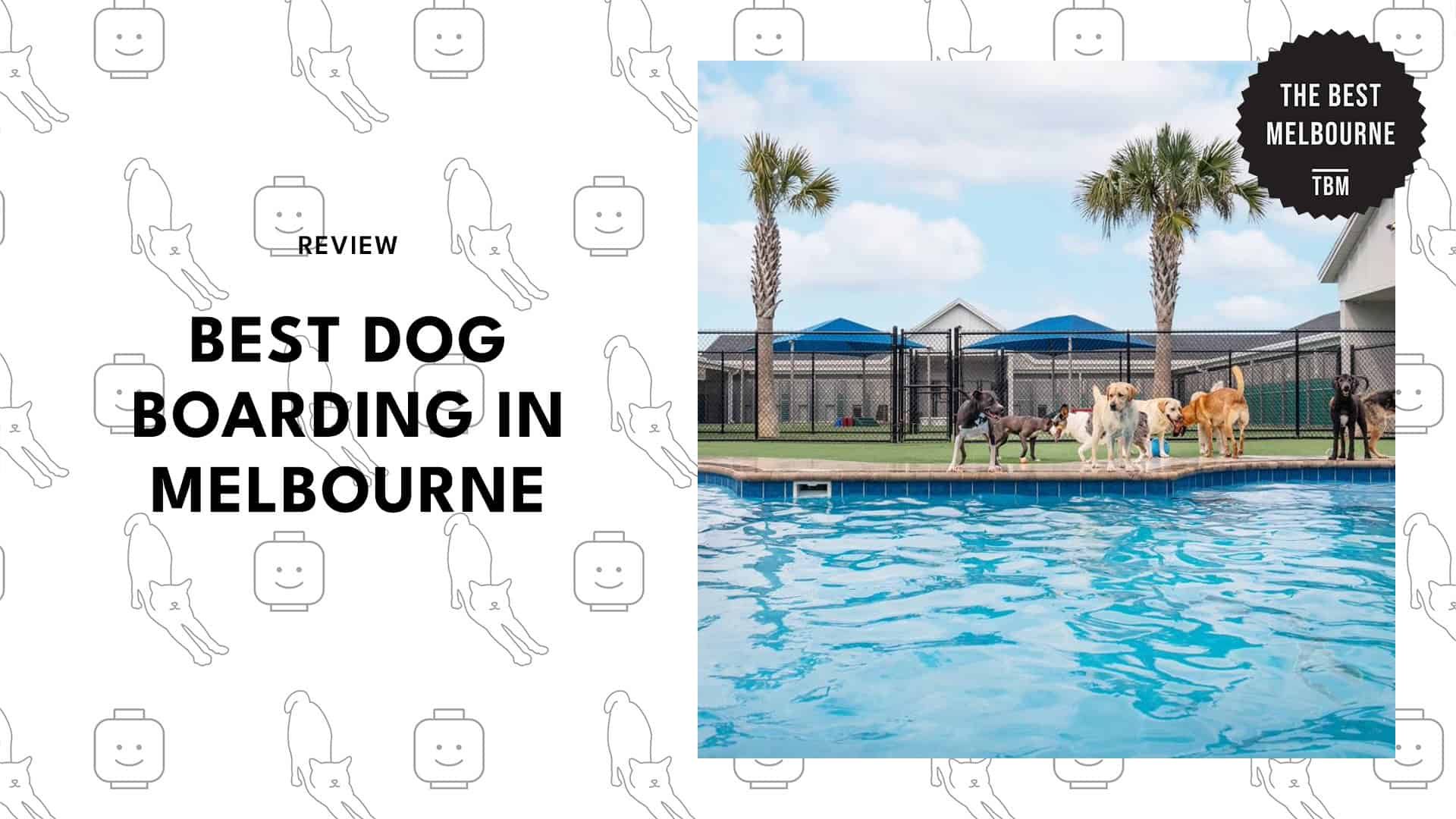 best-dog-boarding-melbourne-banner