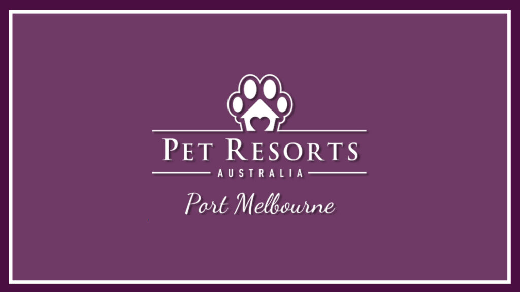 the-pets-hotel-logo