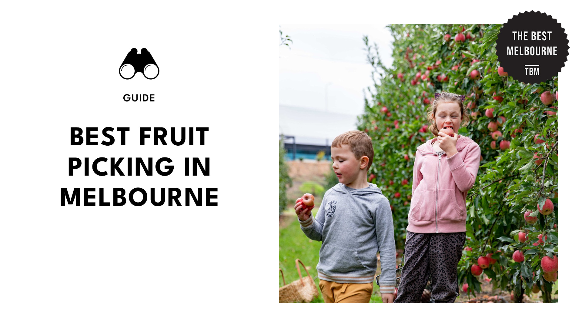 best-fruit-picking-melbourne-banner