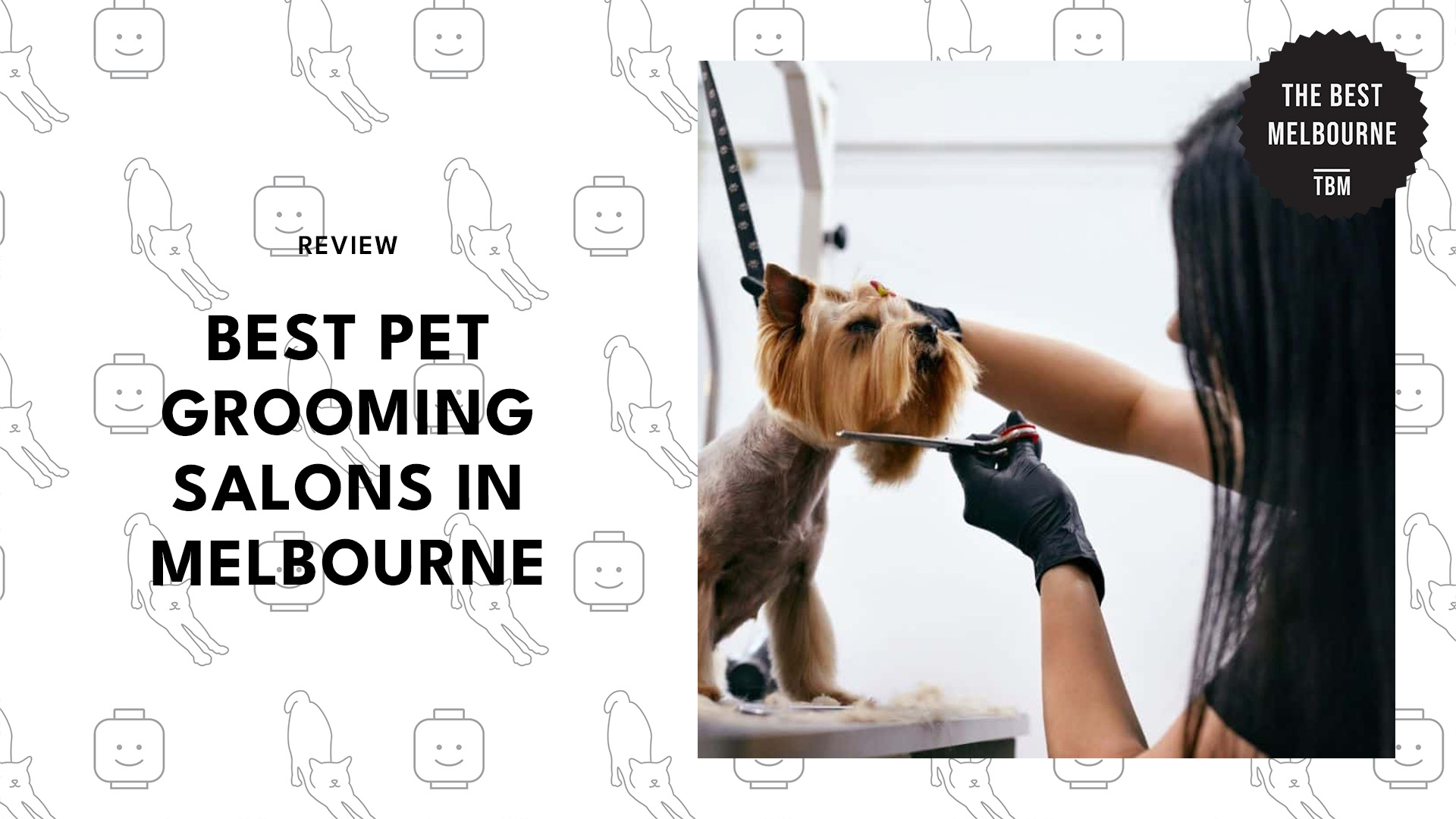 best-pet-grooming-melbourne-banner