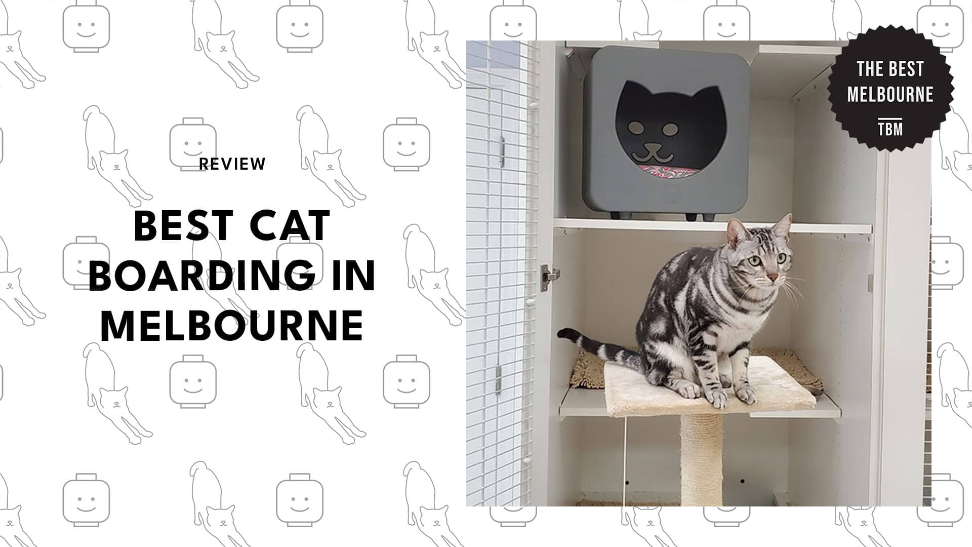 cat-boarding-melbourne