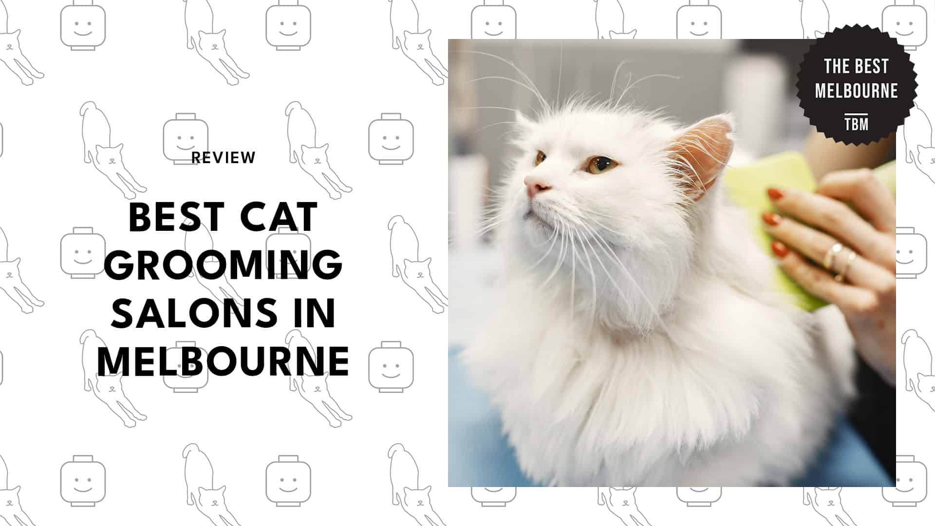 cat-grooming-melbourne