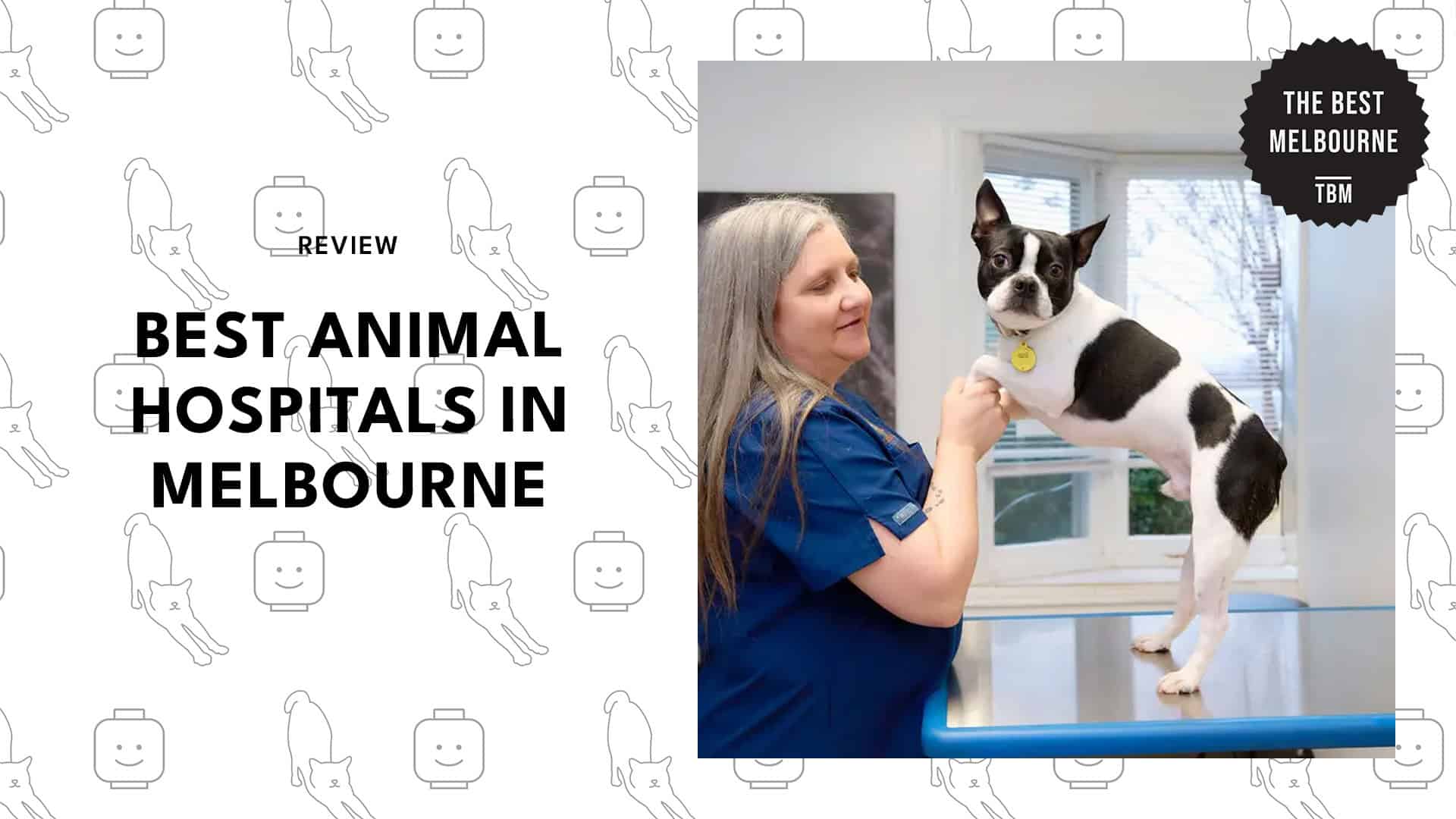 animal-hospitals-in-melbourne