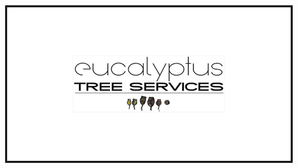 eucalyptus-tree-services-melbourne
