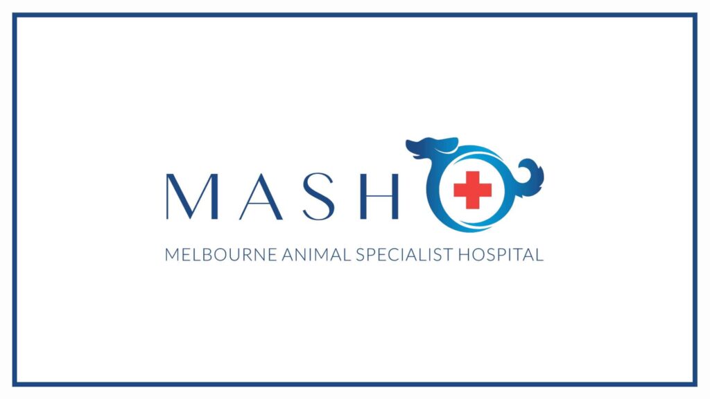 melbourne-animal-specialist-hospital-mash