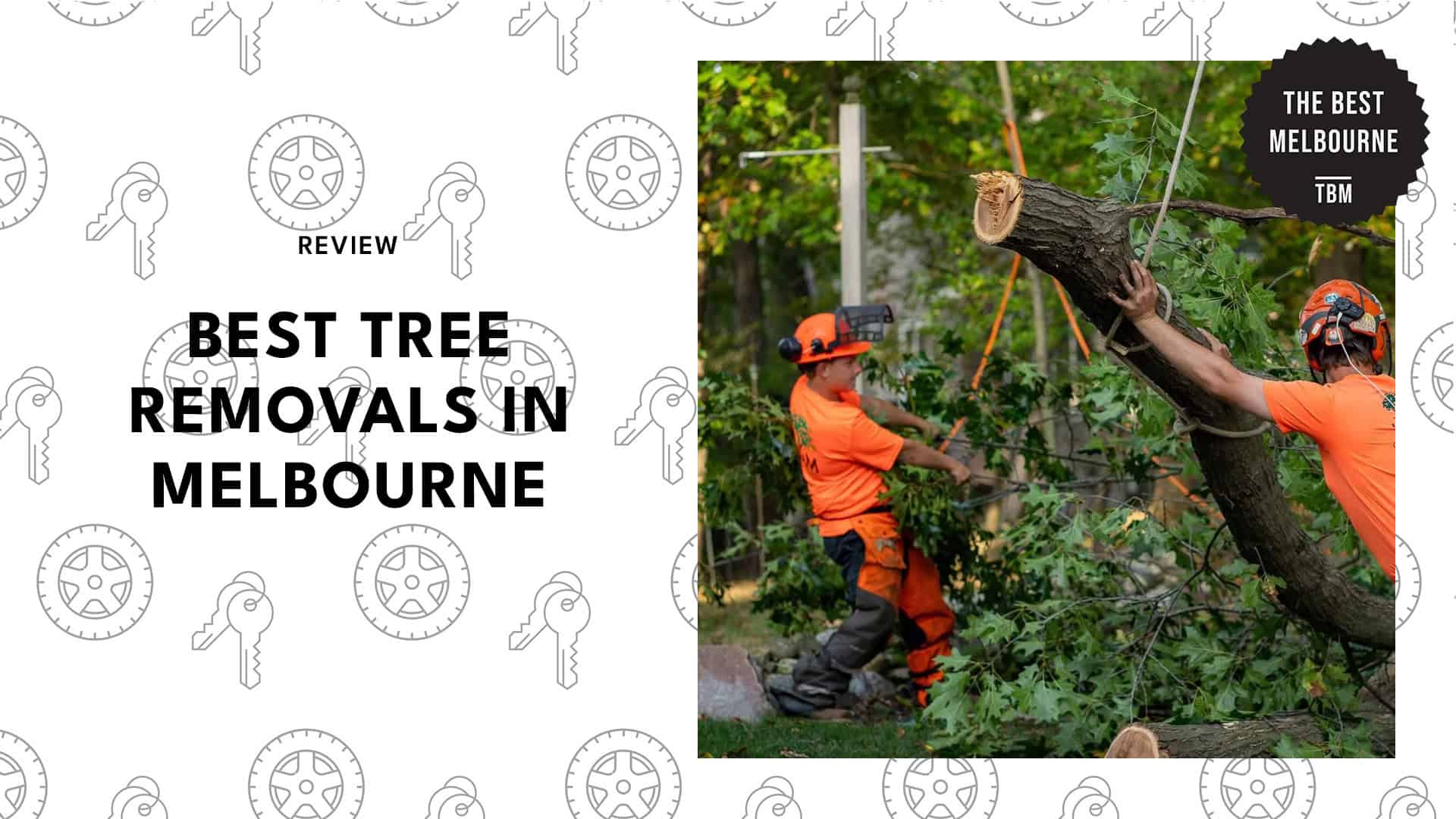 tree-removals-in-melbourne