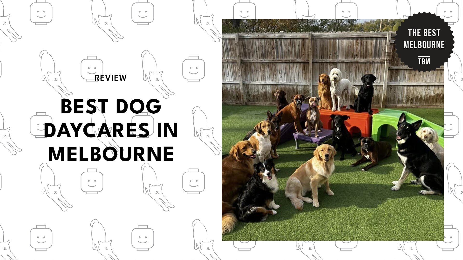 best-dog-daycares-melbourne-banner