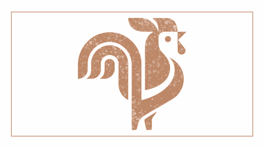 bird-bangn-chicken