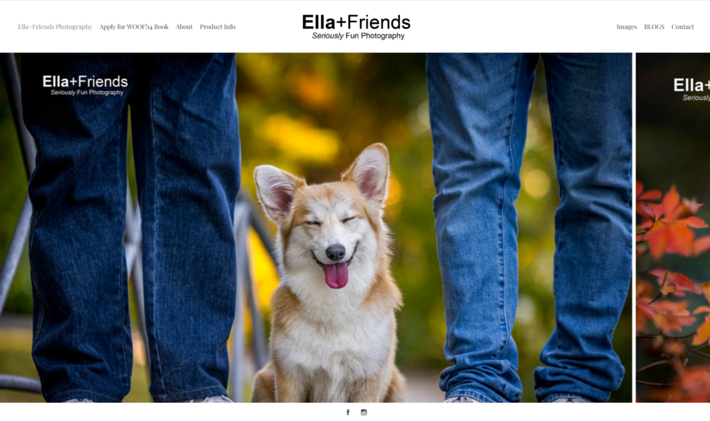 ella and friends homepage